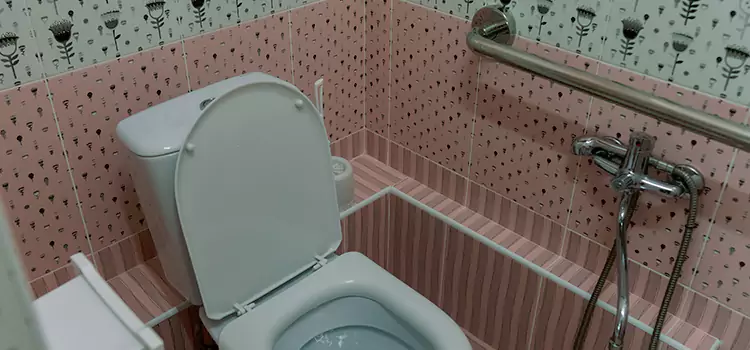 Meeting Diverse Needs With Accessible Restroom Solutions in Sterling, VA